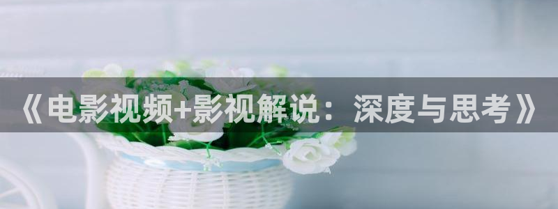 西瓜摄影图片