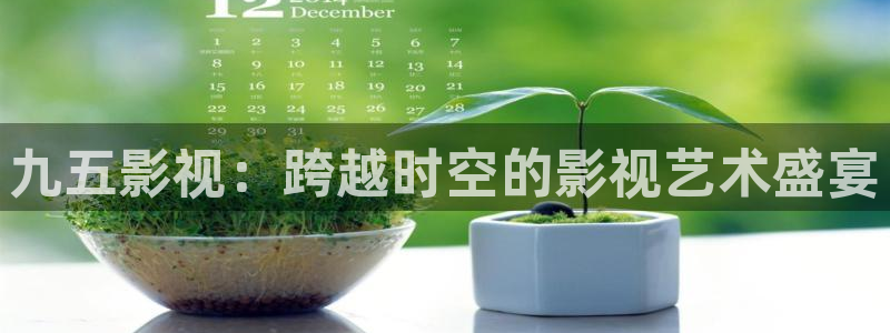 安家西瓜影院在线观看