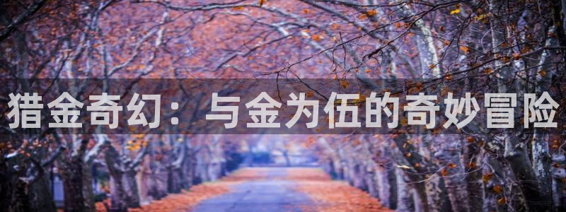 西瓜网在线看