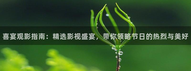 薄冰西瓜影院电视剧全集