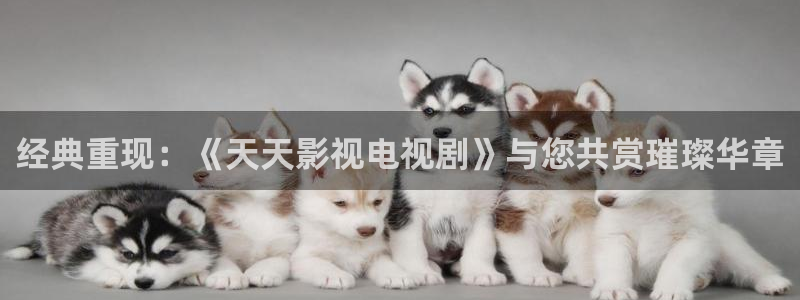 瞄准电视剧在线观看免费西瓜影院