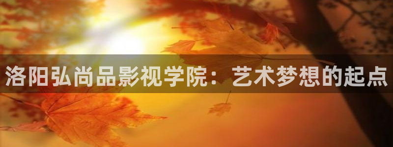 交换的一天西瓜电影：洛阳弘尚品影视学院：艺术梦想的起点