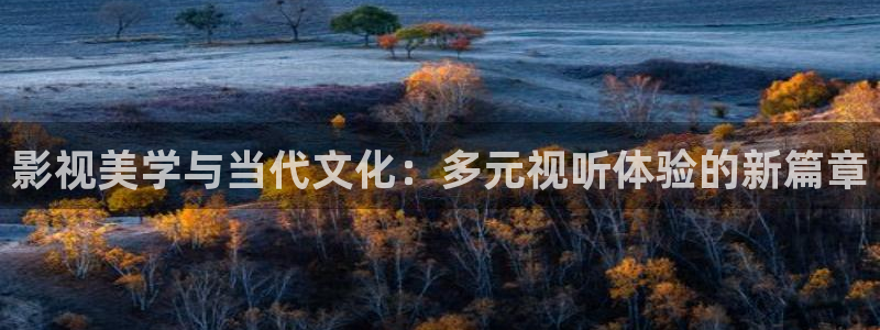无名之辈西瓜影院在线播放：影视美学与当代文化：多元视听体验的新篇章