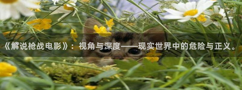 如巴黎不快乐电视剧免费观看西瓜：《解说枪战电影》：视角与深度——现实世界中的危险与正义。