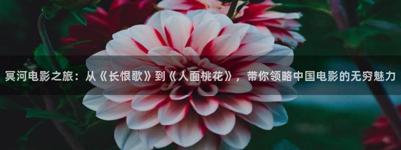 西瓜电影在线看