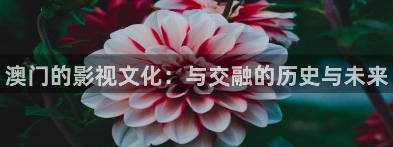 士兵突击在线观看免费西瓜