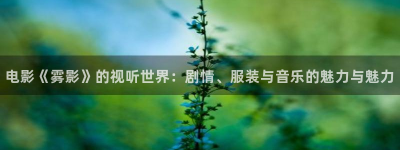 大宋宫词全集免费观看西瓜