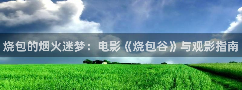 无证之罪全集免费观看西瓜