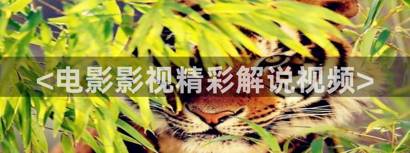 司藤在线观看免费完整版西瓜