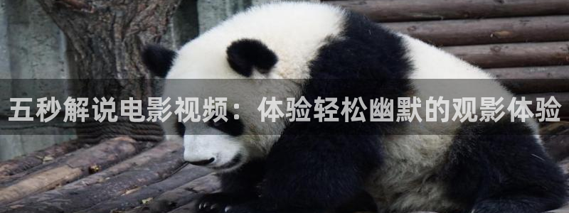 安家电视剧西瓜影院免费观看