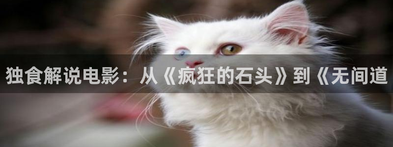西瓜影院在线观看影片