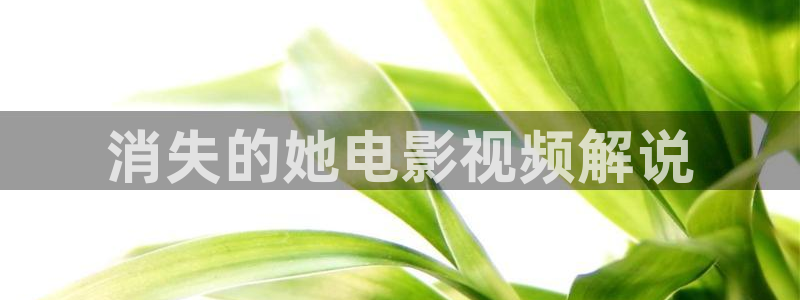 2020年西瓜影院：消失的她电影视频解说