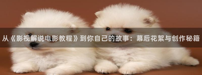 西瓜影院手机版理论片：从《影视解说电影教程》到你自己的故事：幕后花絮与创作秘籍