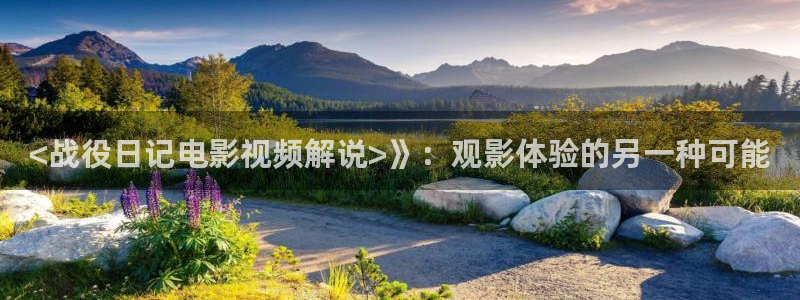 西瓜桔子影院免费观看电视剧大全：<战役日记电影视频解说>》：观影体验的另一种可能