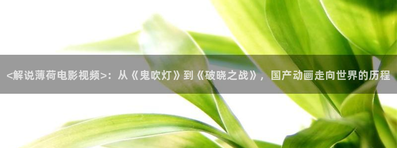 成化十四年西瓜免费观看：<解说薄荷电影视频>：从《鬼吹灯》到《破晓之战》，国产动画走向世界的历程