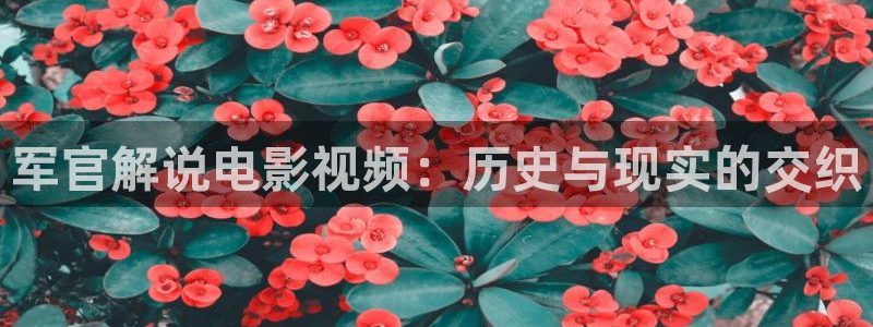 西瓜的视频：军官解说电影视频：历史与现实的交织