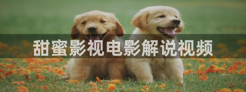 西瓜影院免费观看电视剧高清大全：甜蜜影视电影解说视频