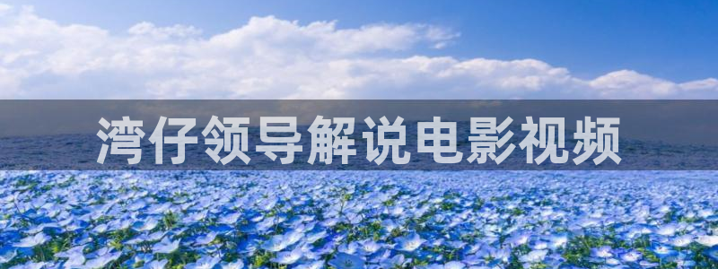 西瓜影院在线观看免费电影：湾仔领导解说电影视频