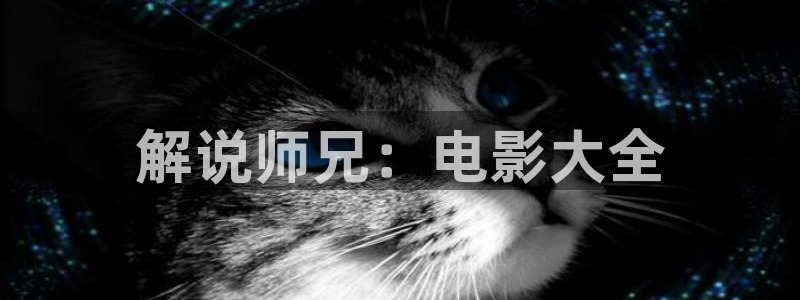 伪装者免费观看全集西瓜：解说师兄：电影大全