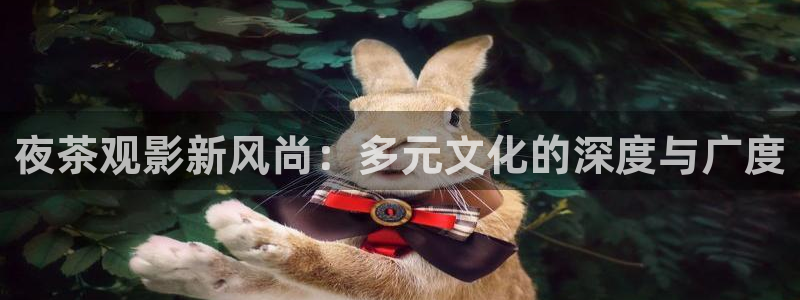 宜昌西瓜：夜茶观影新风尚：多元文化的深度与广度
