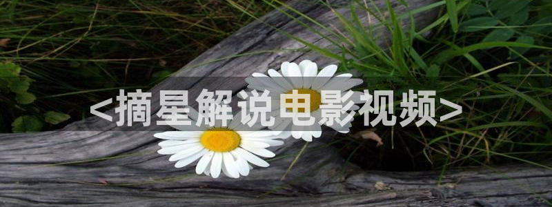 西瓜影院免费版在线观看：<摘星解说电影视频>