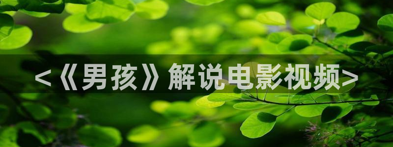 我们不能是朋友西瓜免费观看：<《男孩》解说电影视频>