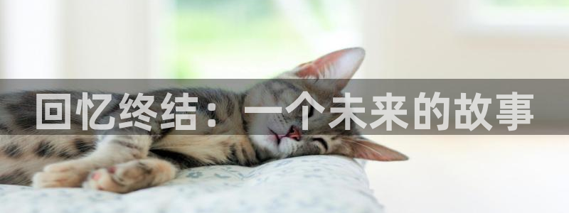 亮剑在线观看全集电视剧完整版西瓜影院：回忆终结：一个未来的故事