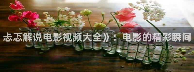 西瓜辽宁：忐忑解说电影视频大全》：电影的精彩瞬间