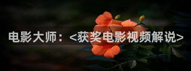 艳母西瓜影院：电影大师：<获奖电影视频解说>