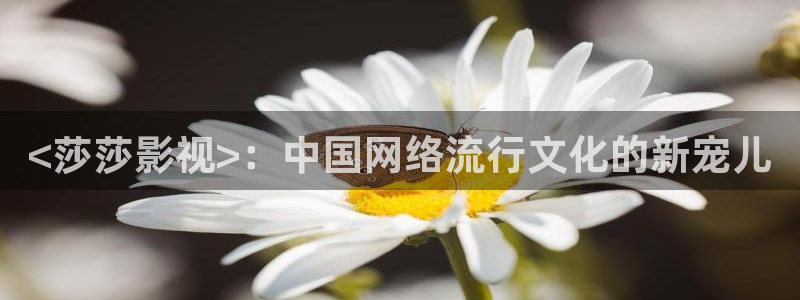 西瓜 在线：<莎莎影视>：中国网络流行文化的新宠儿