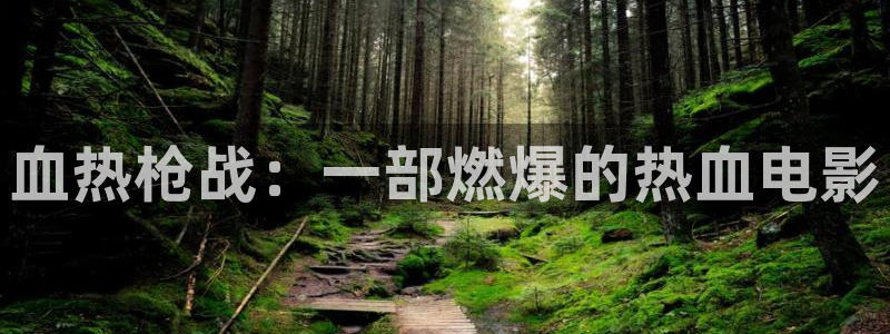 西瓜影院伦理小说：血热枪战：一部燃爆的热血电影