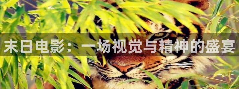 温州西瓜：末日电影：一场视觉与精神的盛宴
