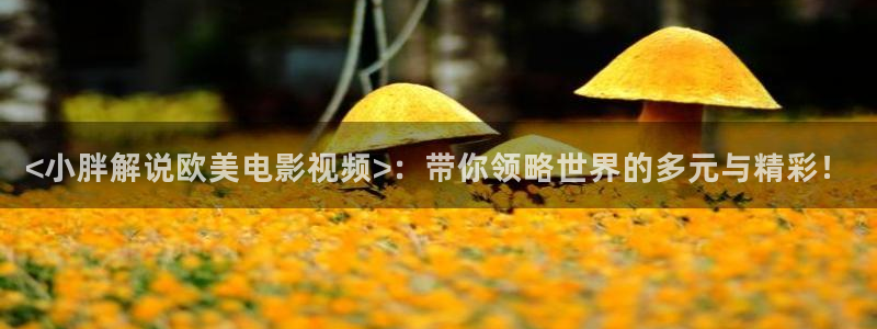 西瓜电影观看：<小胖解说欧美电影视频>：带你领略世界的多元与精彩！