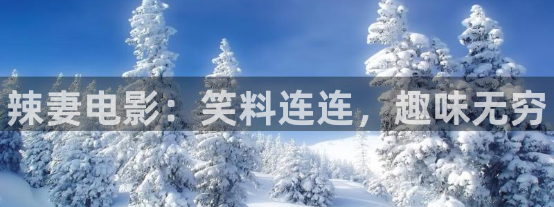 西瓜影院免费：辣妻电影：笑料连连，趣味无穷