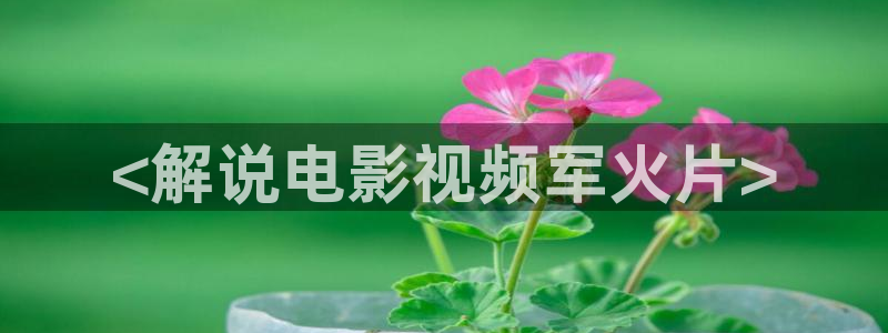 西瓜影院电影免费：<解说电影视频军火片>