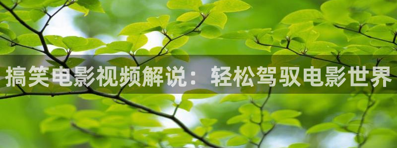 西瓜电影在线观看网：搞笑电影视频解说：轻松驾驭电影世界