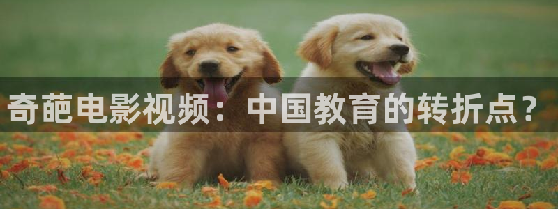 正版的西瓜视频：奇葩电影视频：中国教育的转折点？