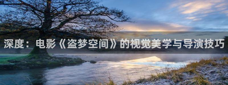 灵魂摆渡第一季西瓜影院：深度：电影《盗梦空间》的视觉美学与导演技巧