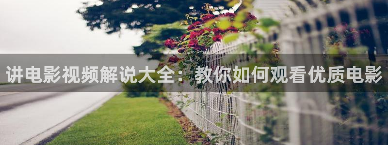 人世间在线观看西瓜：讲电影视频解说大全：教你如何观看优质电影