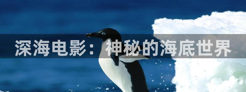 西瓜视频旧：深海电影：神秘的海底世界