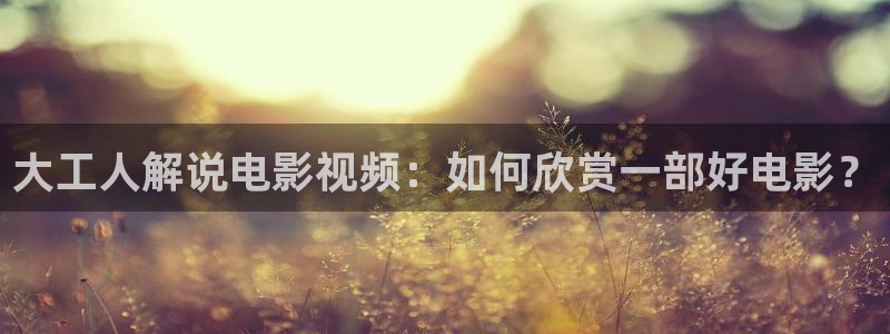 凤囚凰免费观看全集西瓜完整版：大工人解说电影视频：如何欣赏一部好电影？