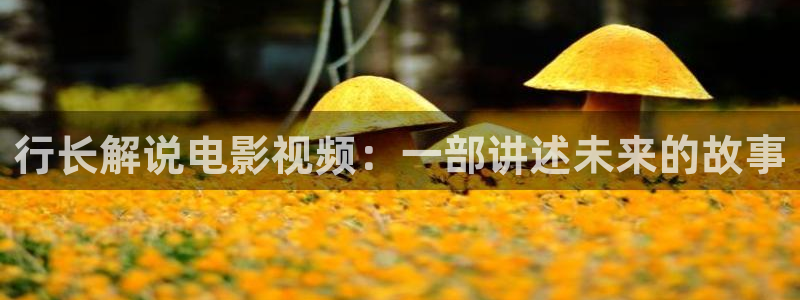 隔壁的女孩西瓜影院：行长解说电影视频：一部讲述未来的故事