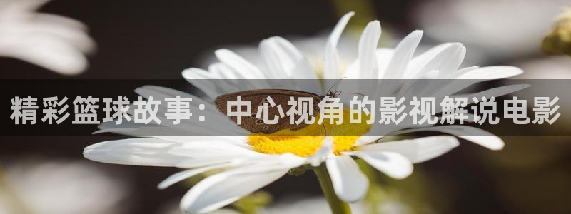 西瓜电影在线观看免费观看：精彩篮球故事：中心视角的影视解说电影