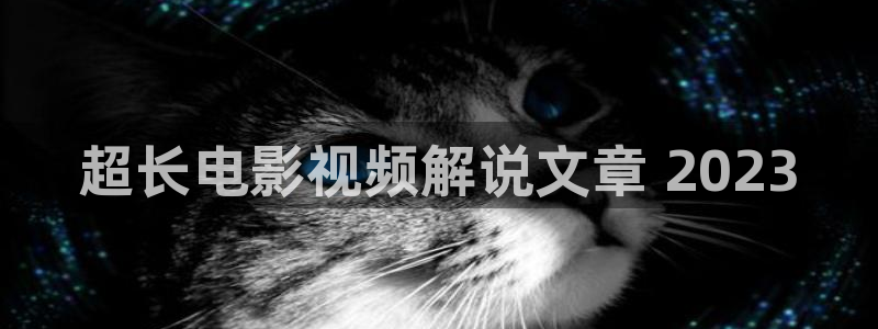 太太万岁在线观看免费西瓜：超长电影视频解说文章 2023