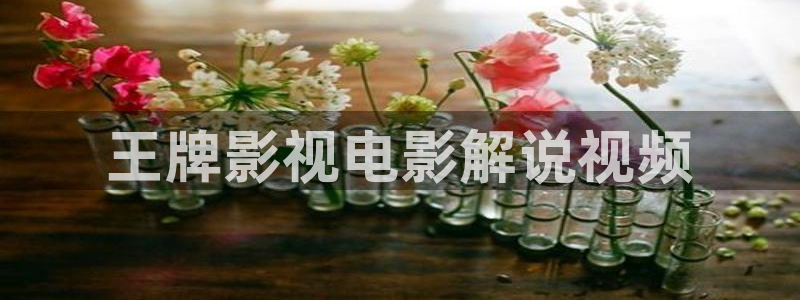 西瓜糖心怎么办：王牌影视电影解说视频