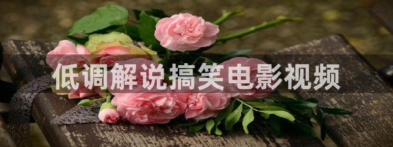 琅琊榜在线观看免费观看西瓜：低调解说搞笑电影视频