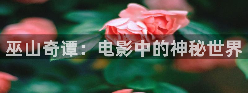 西瓜app在线观看