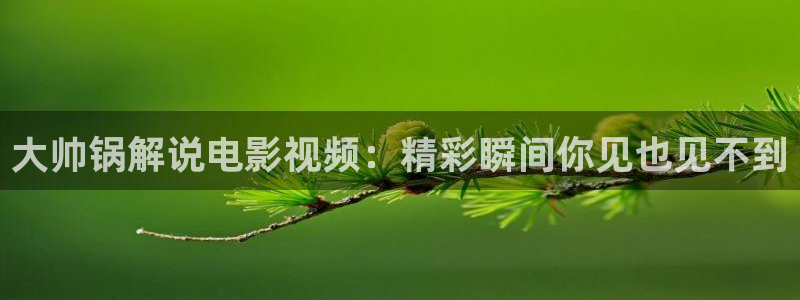 他在逆光中告白免费观看完整版西瓜：大帅锅解说电影视频：精彩瞬间你见也见不到
