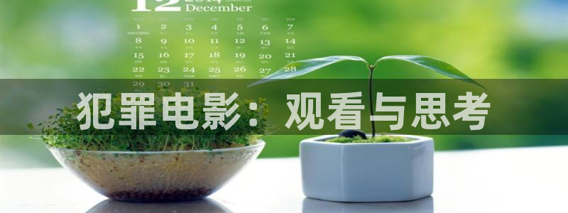飘雪影院在线观看免费版高清电影西瓜头：犯罪电影：观看与思考