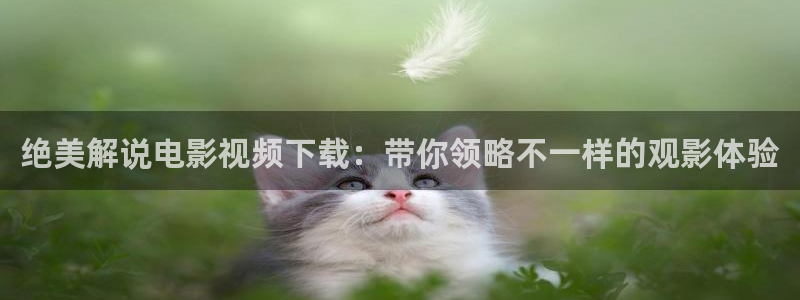 西瓜电影观看